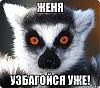     
: lemur_32441444_orig_.jpg
: 206
:	57.2 
ID:	8494